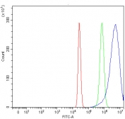 Flow cytometry testing of fixed and permeabilized human HepG2 cells with NADK2 antibody at 1ug/million cells (blocked with goat sera); Red=cells alone, Green=isotype control, Blue= NADK2 antibody.