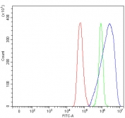 Flow cytometry testing of fixed and permeabilized human HeLa cells with C14orf50 antibody at 1ug/million cells (blocked with goat sera); Red=cells alone, Green=isotype control, Blue= C14orf50 antibody.