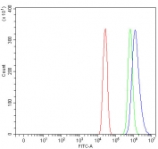 Flow cytometry testing of fixed and permeabilized human A431 cells with PRDM8 antibody at 1ug/million cells (blocked with goat sera); Red=cells alone, Green=isotype control, Blue= PRDM8 antibody.