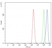 Flow cytometry testing of fixed and permeabilized human Caco-2 cells with Apolipoprotein E antibody at 1ug/million cells (blocked with goat sera); Red=cells alone, Green=isotype control, Blue= Apolipoprotein E antibody.