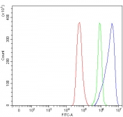 Flow cytometry testing of fixed and permeabilized human HeLa cells with Pancreatic lipase-related protein 2 antibody at 1ug/million cells (blocked with goat sera); Red=cells alone, Green=isotype control, Blue= Pancreatic lipase-related protein 2 antibody.
