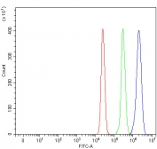 Flow cytometry testing of fixed and permeabilized human U937 cells with HRPAP20 antibody at 1ug/million cells (blocked with goat sera); Red=cells alone, Green=isotype control, Blue= HRPAP20 antibody.
