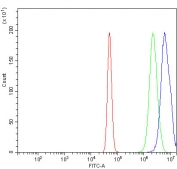 Flow cytometry testing of fixed and permeabilized human A431 cells with MAFF antibody at 1ug/million cells (blocked with goat sera); Red=cells alone, Green=isotype control, Blue= MAFF antibody.