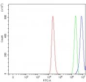 Flow cytometry testing of fixed and permeabilized human RT4 cells with Myeloid cell leukemia 1 antibody at 1ug/million cells (blocked with goat sera); Red=cells alone, Green=isotype control, Blue= Myeloid cell leukemia 1 antibody.