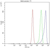 Flow cytometry testing of fixed and permeabilized human PC-3 cells with NDUFB7 antibody at 1ug/million cells (blocked with goat sera); Red=cells alone, Green=isotype control, Blue= NDUFB7 antibody.