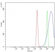 Flow cytometry testing of fixed and permeabilized human MCF7 cells with Prostasin antibody at 1ug/million cells (blocked with goat sera); Red=cells alone, Green=isotype control, Blue= Prostasin antibody.