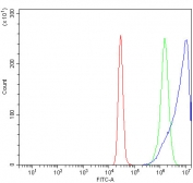 Flow cytometry testing of human K562 cells with Eukaryotic translation initiation factor 5 antibody at 1ug/million cells (blocked with goat sera); Red=cells alone, Green=isotype control, Blue= Eukaryotic translation initiation factor 5 antibody.