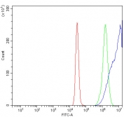 Flow cytometry testing of human K562 cells with KIF5A antibody at 1ug/million cells (blocked with goat sera); Red=cells alone, Green=isotype control, Blue= KIF5A antibody.
