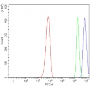 Flow cytometry testing of fixed and permeabilized human PC-3 cells with PGP antibody at 1ug/million cells (blocked with goat sera); Red=cells alone, Green=isotype control, Blue= PGP antibody.
