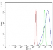 Flow cytometry testing of fixed and permeabilized human SiHa cells with PPP2R5D antibody at 1ug/million cells (blocked with goat sera); Red=cells alone, Green=isotype control, Blue= PPP2R5D antibody.