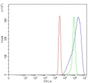 Flow cytometry testing of fixed and permeabilized human SiHa cells with PPP3CA antibody at 1ug/million cells (blocked with goat sera); Red=cells alone, Green=isotype control, Blue= PPP3CA antibody.