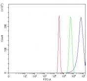 Flow cytometry testing of fixed and permeabilized human HepG2 cells with Serpin A8 antibody at 1ug/million cells (blocked with goat sera); Red=cells alone, Green=isotype control, Blue= Serpin A8 antibody.