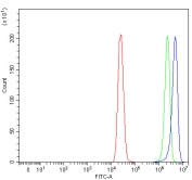 Flow cytometry testing of fixed and permeabilized human MCF7 cells with CYC1 antibody at 1ug/million cells (blocked with goat sera); Red=cells alone, Green=isotype control, Blue= CYC1 antibody.