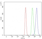Flow cytometry testing of fixed and permeabilized human 293T cells with Heparin cofactor 2 antibody at 1ug/million cells (blocked with goat sera); Red=cells alone, Green=isotype control, Blue= Heparin cofactor 2 antibody.