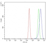 Flow cytometry testing of fixed and permeabilized human MCF7 cells with NBR1 antibody at 1ug/million cells (blocked with goat sera); Red=cells alone, Green=isotype control, Blue= NBR1 antibody.