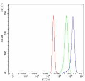 Flow cytometry testing of fixed and permeabilized human HepG2 cells with Mannose-binding protein C antibody at 1ug/million cells (blocked with goat sera); Red=cells alone, Green=isotype control, Blue= Mannose-binding protein C antibody.