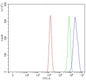 Flow cytometry testing of fixed and permeabilized human HEL cells with NFRKB antibody at 1ug/million cells (blocked with goat sera); Red=cells alone, Green=isotype control, Blue= NFRKB antibody.
