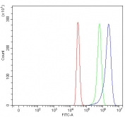 Flow cytometry testing of fixed and permeabilized human HepG2 cells with PFKFB1 antibody at 1ug/million cells (blocked with goat sera); Red=cells alone, Green=isotype control, Blue= PFKFB1 antibody.