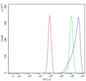 Flow cytometry testing of fixed and permeabilized human K562 cells with Serpin B9 antibody at 1ug/million cells (blocked with goat sera); Red=cells alone, Green=isotype control, Blue= Serpin B9 antibody.