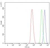 Flow cytometry testing of fixed and permeabilized human HeLa cells with RPB5 antibody at 1ug/million cells (blocked with goat sera); Red=cells alone, Green=isotype control, Blue= RPB5 antibody.