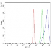 Flow cytometry testing of fixed and permeabilized human SH-SY5Y cells with PPP2R3A antibody at 1ug/million cells (blocked with goat sera); Red=cells alone, Green=isotype control, Blue= PPP2R3A antibody.
