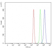 Flow cytometry testing of fixed and permeabilized human U937 cells with PPP3CB antibody at 1ug/million cells (blocked with goat sera); Red=cells alone, Green=isotype control, Blue= PPP3CB antibody.