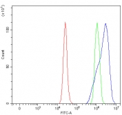 Flow cytometry testing of fixed and permeabilized human RT4 cells with Prolargin antibody at 1ug/million cells (blocked with goat sera); Red=cells alone, Green=isotype control, Blue= Prolargin antibody.