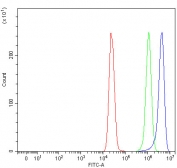Flow cytometry testing of fixed and permeabilized human MCF7 cells with Prosaposin antibody at 1ug/million cells (blocked with goat sera); Red=cells alone, Green=isotype control, Blue= Prosaposin antibody.