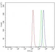 Flow cytometry testing of fixed and permeabilized human Raji cells with Proteasome 20S alpha 1 antibody at 1ug/million cells (blocked with goat sera); Red=cells alone, Green=isotype control, Blue= Proteasome 20S alpha 1 antibody.