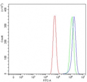 Flow cytometry testing of fixed and permeabilized human 293T cells with NDUFA8 antibody at 1ug/million cells (blocked with goat sera); Red=cells alone, Green=isotype control, Blue= NDUFA8 antibody.