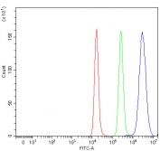 Flow cytometry testing of fixed and permeabilized human Raji cells with PSMD4 antibody at 1ug/million cells (blocked with goat sera); Red=cells alone, Green=isotype control, Blue= PSMD4 antibody.