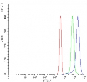 Flow cytometry testing of fixed and permeabilized human U937 cells with PSME1 antibody at 1ug/million cells (blocked with goat sera); Red=cells alone, Green=isotype control, Blue= PSME1 antibody.