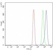 Flow cytometry testing of fixed and permeabilized human 293T cells with PYCR1 antibody at 1ug/million cells (blocked with goat sera); Red=cells alone, Green=isotype control, Blue= PYCR1 antibody.