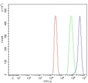 Flow cytometry testing of fixed and permeabilized human 293T cells with PYGL antibody at 1ug/million cells (blocked with goat sera); Red=cells alone, Green=isotype control, Blue= PYGL antibody.