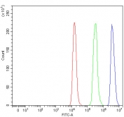 Flow cytometry testing of fixed and permeabilized human Raji cells with RFC4 antibody at 1ug/million cells (blocked with goat sera); Red=cells alone, Green=isotype control, Blue= RFC4 antibody.