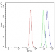 Flow cytometry testing of fixed and permeabilized human MCF7 cells with PSMD7 antibody at 1ug/million cells (blocked with goat sera); Red=cells alone, Green=isotype control, Blue= PSMD7 antibody.