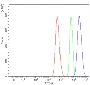 Flow cytometry testing of fixed and permeabilized human HeLa cells with RXR alpha antibody at 1ug/million cells (blocked with goat sera); Red=cells alone, Green=isotype control, Blue= RXR alpha antibody.