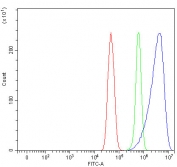 Flow cytometry testing of fixed and permeabilized human U-251 cells with PRDX2 antibody at 1ug/million cells (blocked with goat sera); Red=cells alone, Green=isotype control, Blue= PRDX2 antibody.