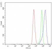 Flow cytometry testing of fixed and permeabilized human HeLa cells with VDAC1 antibody at 1ug/million cells (blocked with goat sera); Red=cells alone, Green=isotype control, Blue= VDAC1 antibody.