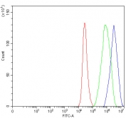 Flow cytometry testing of fixed and permeabilized human 293T cells with NELFE antibody at 1ug/million cells (blocked with goat sera); Red=cells alone, Green=isotype control, Blue= NELFE antibody.