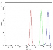 Flow cytometry testing of fixed and permeabilized human SiHa cells with SF3a66 antibody at 1ug/million cells (blocked with goat sera); Red=cells alone, Green=isotype control, Blue= SF3a66 antibody.