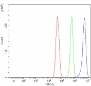 Flow cytometry testing of fixed and permeabilized human U-251 cells with Liprin alpha 2 antibody at 1ug/million cells (blocked with goat sera); Red=cells alone, Green=isotype control, Blue= Liprin alpha 2 antibody.