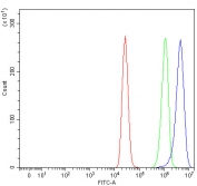 Flow cytometry testing of fixed and permeabilized human MCF7 cells with PAPSS2 antibody at 1ug/million cells (blocked with goat sera); Red=cells alone, Green=isotype control, Blue= PAPSS2 antibody.