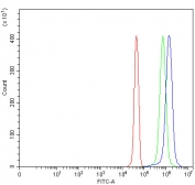 Flow cytometry testing of fixed and permeabilized human JK cells with PSMF1 antibody at 1ug/million cells (blocked with goat sera); Red=cells alone, Green=isotype control, Blue= PSMF1 antibody.