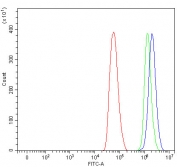 Flow cytometry testing of fixed and permeabilized human HeLa cells with NCOR2 antibody at 1ug/million cells (blocked with goat sera); Red=cells alone, Green=isotype control, Blue= NCOR2 antibody.