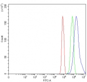 Flow cytometry testing of fixed and permeabilized human JK cells with N4BP1 antibody at 1ug/million cells (blocked with goat sera); Red=cells alone, Green=isotype control, Blue= N4BP1 antibody.