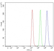 Flow cytometry testing of fixed and permeabilized human Raji cells with PSMD14 antibody at 1ug/million cells (blocked with goat sera); Red=cells alone, Green=isotype control, Blue= PSMD14 antibody.