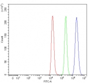 Flow cytometry testing of fixed and permeabilized human Raji cells with PSMD14 antibody at 1ug/million cells (blocked with goat sera); Red=cells alone, Green=isotype control, Blue= PSMD14 antibody.