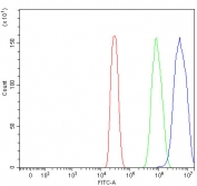 Flow cytometry testing of fixed and permeabilized mouse HEPA1-6 cells with SAM68 antibody at 1ug/million cells (blocked with goat sera); Red=cells alone, Green=isotype control, Blue= SAM68 antibody.