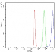 Flow cytometry testing of fixed and permeabilized human HepG2 cells with TWF2 antibody at 1ug/million cells (blocked with goat sera); Red=cells alone, Green=isotype control, Blue= TWF2 antibody.